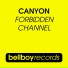 Rave Mission vol. X (CD 1) -09- Canyon