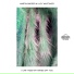 Martin Badder & Lucy Whittaker feat. Yizzy