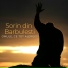Sorin din Barbulesti