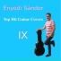 Sandor Enyedi