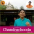 Parjanya Rao, Vijay Krishna D