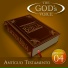The God's Voice feat. Enrique Rocha