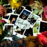 Shayz