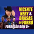Vicente Nery feat. Brasas do Forró