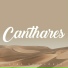 Canthares