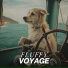 Pets Music