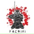 Pachini