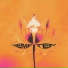Demeter