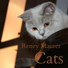 Reney Maurer