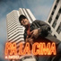 RaleAP
