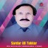Sardar Ali Takkar