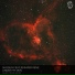 Shogun feat. Jennifer Rene [drivemusic.me]