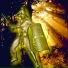 Cristal2