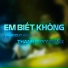 Phan Duy Anh
