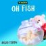 Bojo Teddy