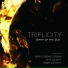Triplicity