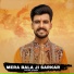 Vikas Vinay