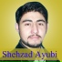 Shehzad Ayubi