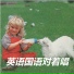 小蓓蕾组合