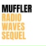 Muffler