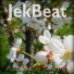 JekBeat