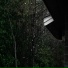 Heavy Rain and Thunder
