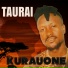 Bryn Taurai Mteki