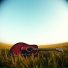 Adans Assis