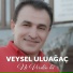 Veysel Uluağaç
