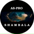 AS-PRO
