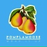 Pomplamoose
