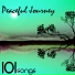Peaceful Music Collective