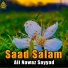 Ali Nawaz Sayyad