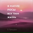 L.Prishvin