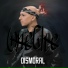 Oneche
