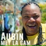 AUBIN