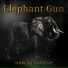 Elephant Gun