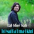 Lal Sher Safi