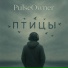 PulseOwner