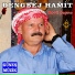 Dengbej Hamit