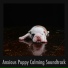 Calming Puppy Relaxation