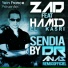 Zad feat. Hamid El Kassri