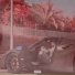 Marleek