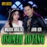 Warda Amalia feat. Andi KDI, Koplo Digital