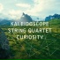 Kaleidoscope String Quartet