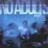 No Adults