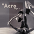 Tantra Yoga Masters