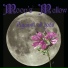 Moon's Mallow