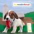 boywonderbread