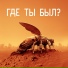 Сабитов Тимур